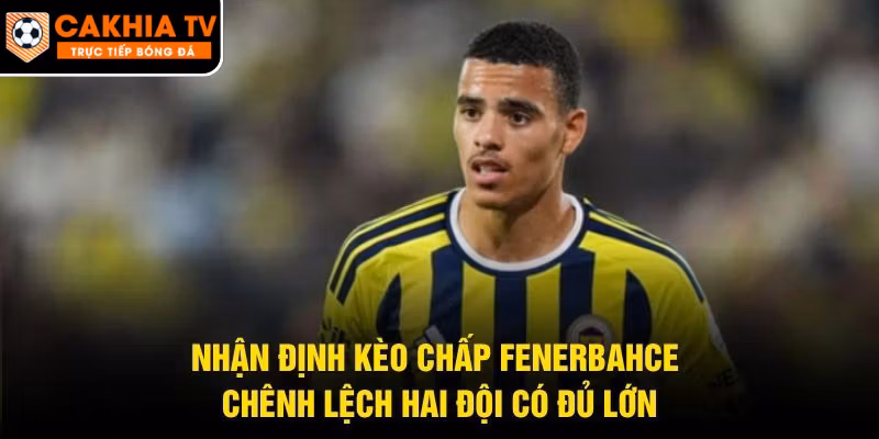 Nhận Định Kèo Chấp Fenerbahce – Chênh Lệch Hai Đội Có Đủ Lớn